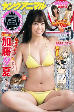 春来枕星河电视剧免费观看